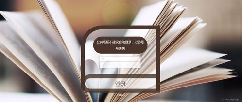 ssm基于vue的图书管理系统31487 计算机毕业设计问题的解决方案与方法